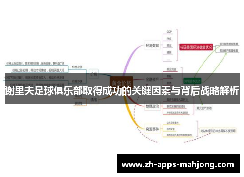 谢里夫足球俱乐部取得成功的关键因素与背后战略解析