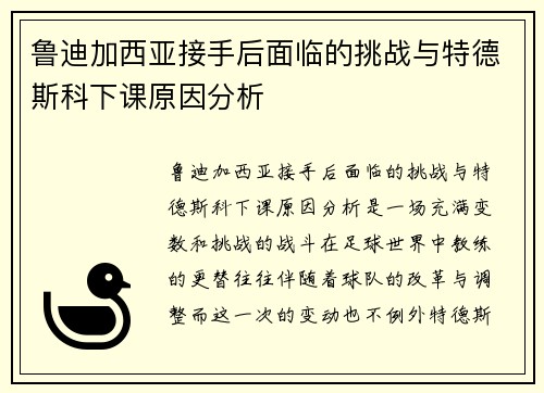 鲁迪加西亚接手后面临的挑战与特德斯科下课原因分析