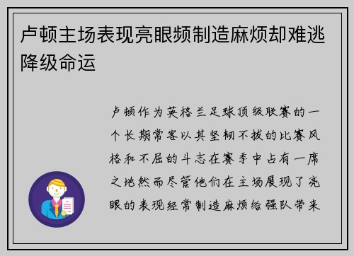 卢顿主场表现亮眼频制造麻烦却难逃降级命运